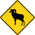 Ram road sign (MUTCD W11-18)