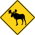 Moose road sign (MUTCD W11-21)